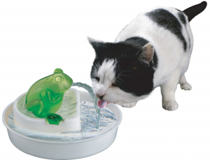 Cats Rule Frog Watering Hole