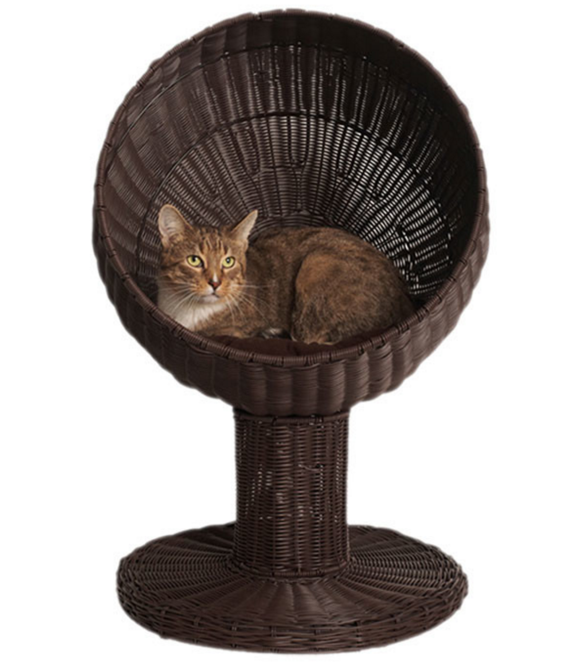 refined feline kitty ball cat bed