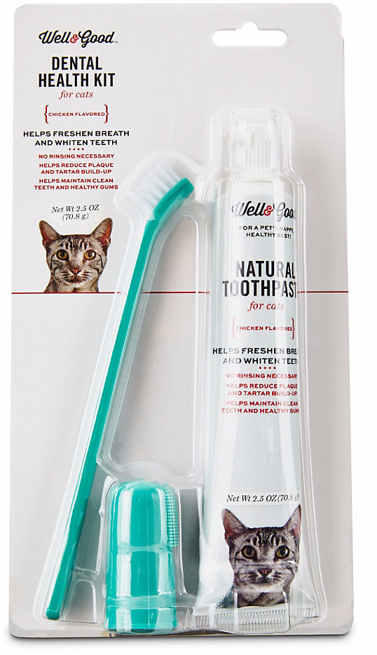 Five Tips for Cat Teeth Cleaning Cool Stuff for Cats