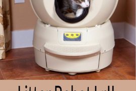 litter robot lrii