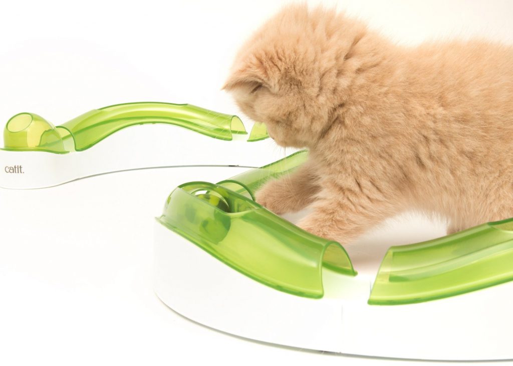 cat circuit toy