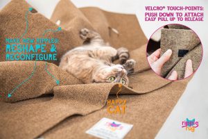 The Ripple Rug Cat Activity Mat - Interactive play with your cat