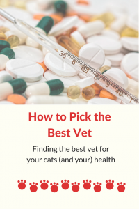 how to pick the best vet. Finding the best vet for your cats health and happiness