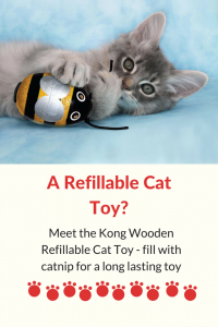 Kong wooden refillable cat toy - fill with catnip for longevity