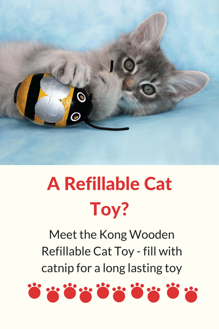 wooden cat toy