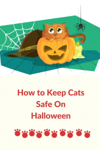 how to keep cats safe on halloween. Halloween is fun for us humans but our cats can find it stressful and dangerous