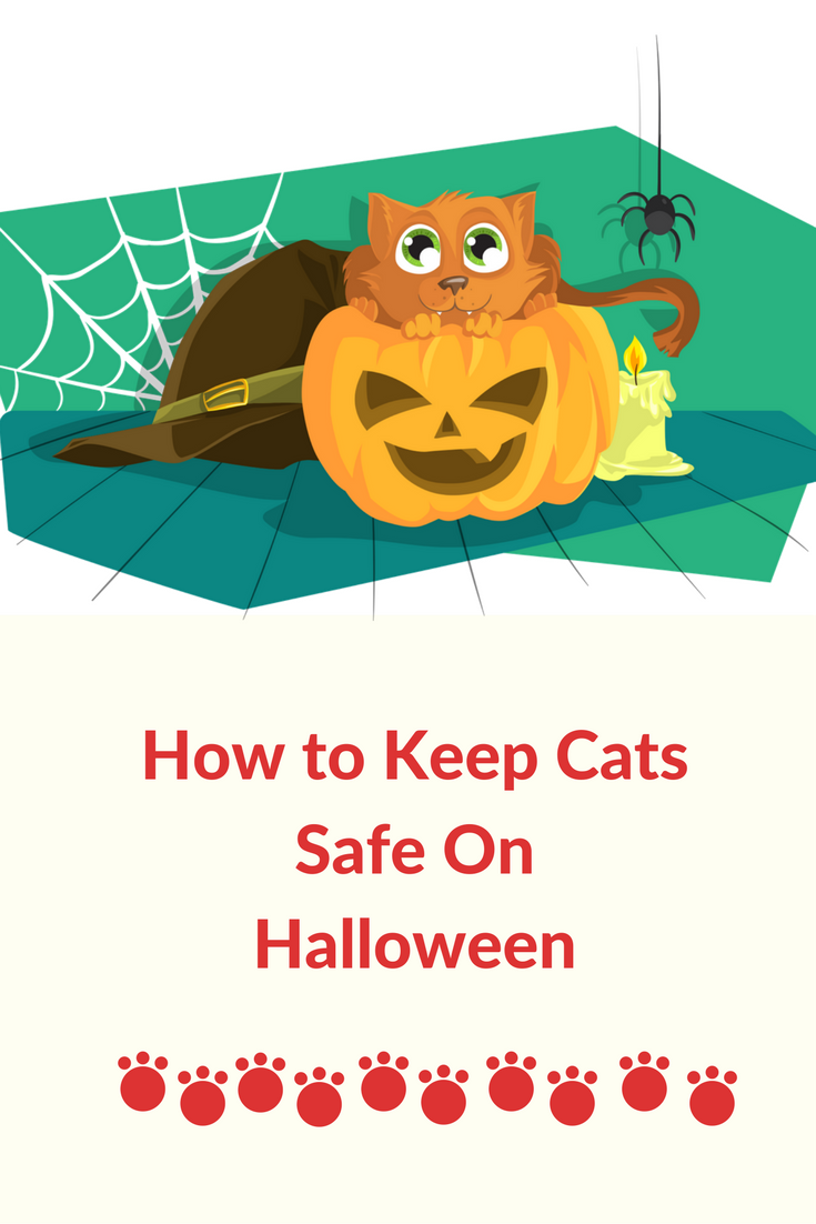 how-to-keep-cats-safe-on-halloween how to keep cats safe on halloween. Halloween is fun for us humans but our cats can find it stressful and dangerous