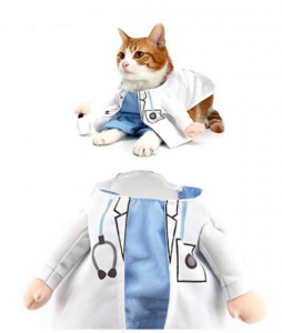 cat halloween costume doctor