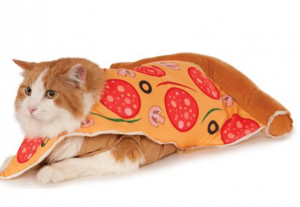 cat halloween costume pizza slice