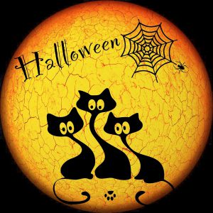 how to keep cats safe on halloween. Black cats can be doubly unsafe during halloween