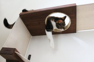 CatastrophiCreations Fabric Cat Maze showing fun escape hatch