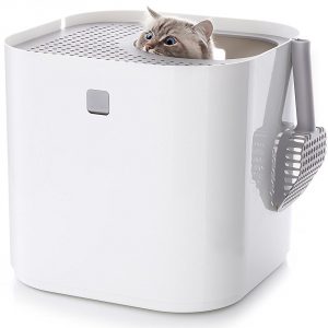 Pros and Cons of Top Entry Litter box