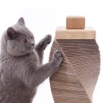 Charley and Billie contemporary cat scratching post. Handmade from ethically sourced sandstone and sustainable oak and recycled cardboard.