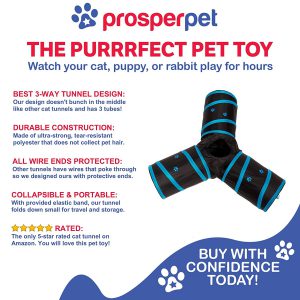 prosper pet cat crinkle tunnel the benefits of this interactive cat toy