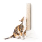 Cat Product Guide to Sisal scratching post