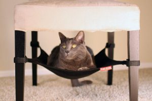 Cat Crib a Hammock type cat bed for your pet