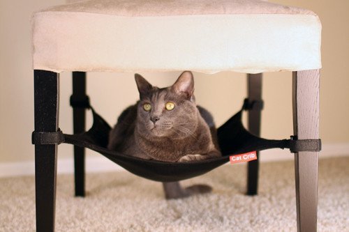 Clutter Free Rooms With The Cat Crib Cool Stuff for Cats