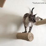Cat Product Guide to Cat Perches and Cat Shelves. CatastrophiCreations Sisal post step