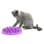 Cat Product Guide to cat puzzle toys - Northmate catch interactive feeder