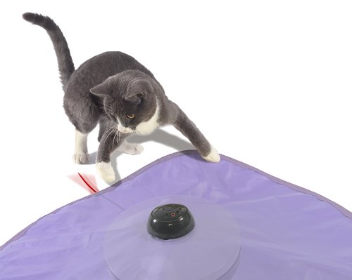 Smartykat hot pursuit electronic store concealed motion cat toy