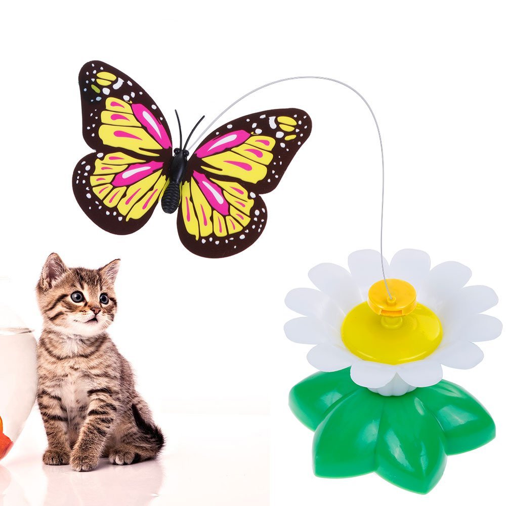 butterfly ball cat toy