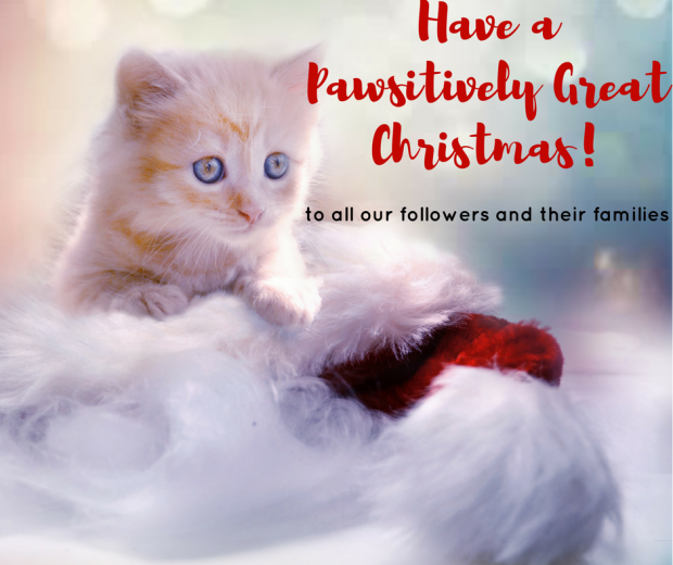 Have a Pawsitively GreatChristmas! Merry Christmas