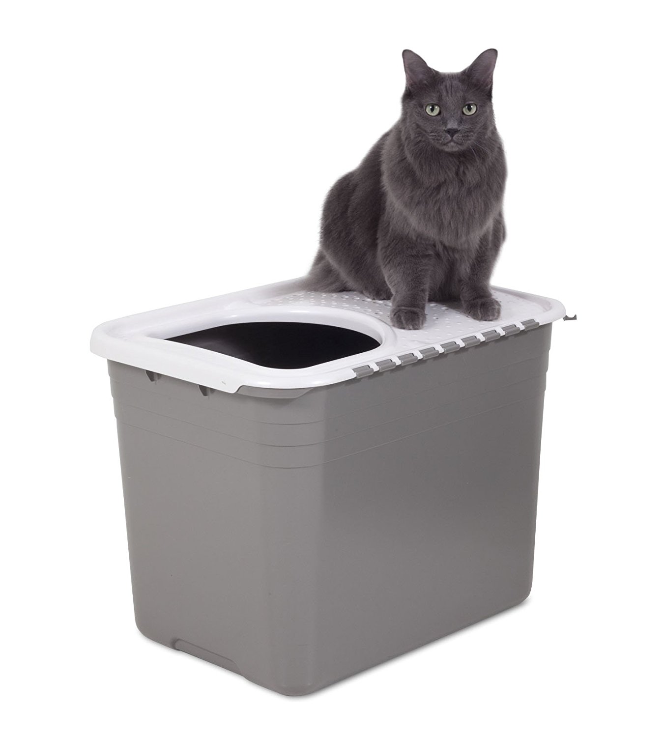 How to get a cat to use a top entry litter outlet box