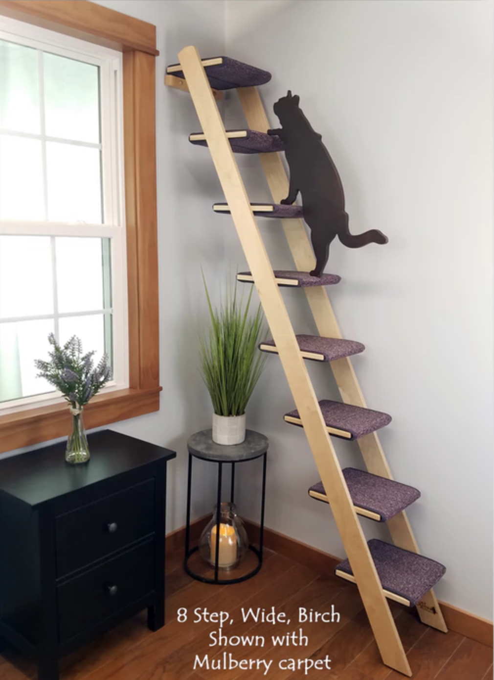 tall cat ladder on kickstarter