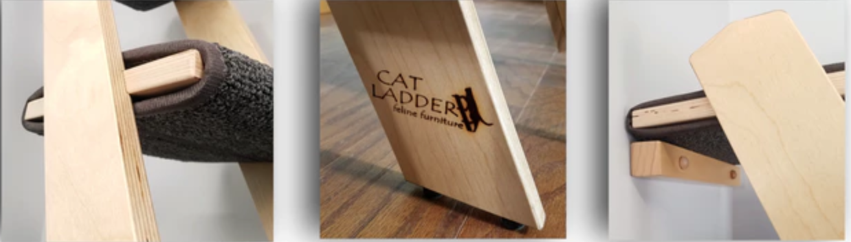 Birch cat ladders on kickstarter