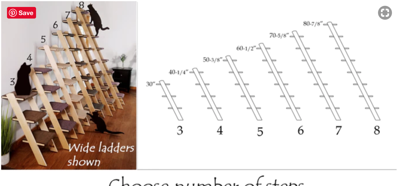 cat ladder sizes