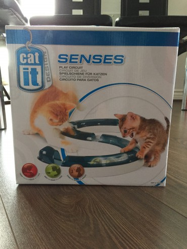 cat it senses play circuit