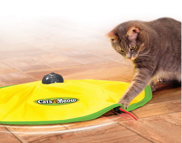 Is the Cats Meow Toy as Fun as It Looks? - Cool Stuff for Cats