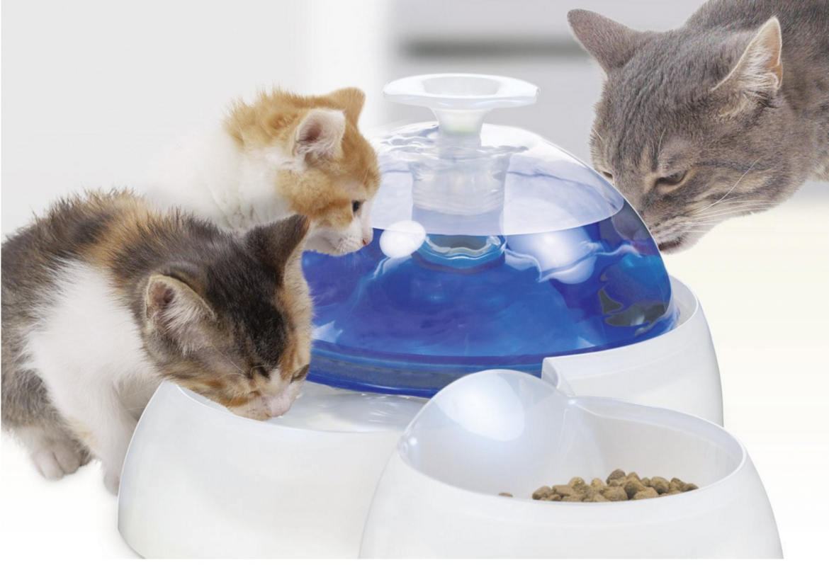 CatIt Fresh & Clear Drinking Fountain Review Cool Stuff for Cats