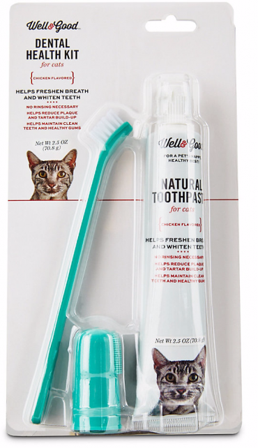 Five Tips for Cat Teeth Cleaning - Cool Stuff for Cats