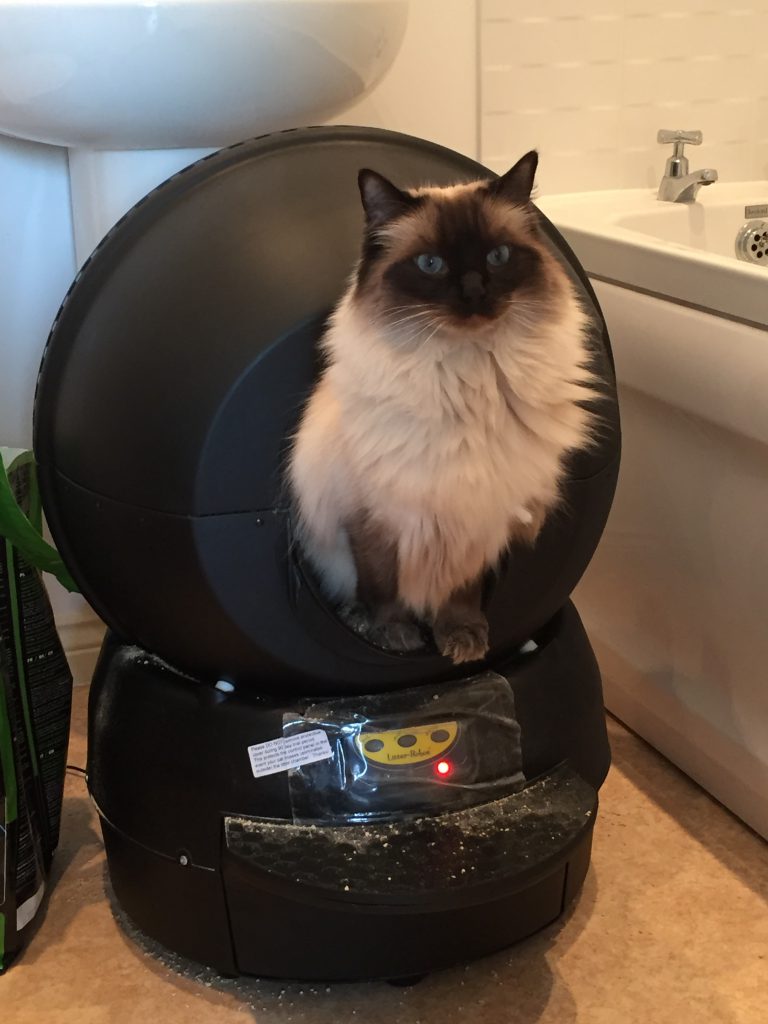 litter robot does not sense cat