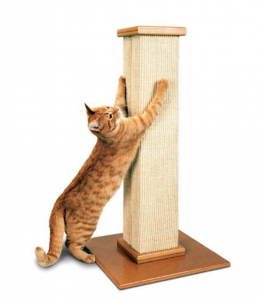 Best Cat Scratching Posts - the Ultimate cat scratching post
