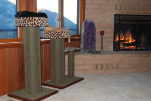purrfect post new sophisticat color for scratching posts with leopard carpet