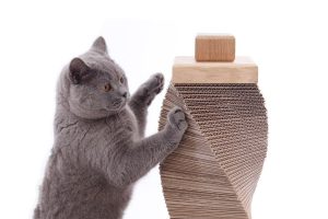 Charley and Billie contemporary cat scratching post. Handmade from ethically sourced sandstone and sustainable oak and recycled cardboard.