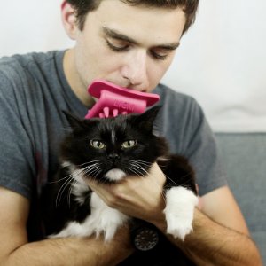 Licki Brush. Lick your cat for a different bonding experience