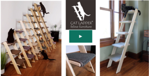 cat ladders on kickstarter